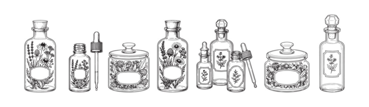 Vector sketch of a set of glass bottles with herbs. herbal tinctures vector sketch