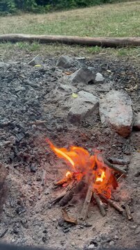 Person Adding Firewood to a Burning Campfire. Close-up view of a person adding dry wood to a burning campfire outdoors. Bright orange flames rise around the logs at a rustic campsite. 