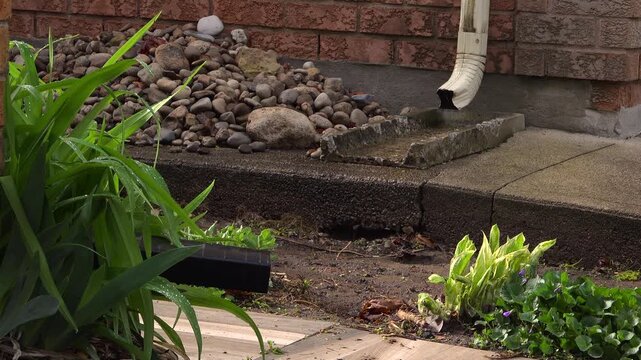 Water slowly drips from a white gutter downspout pipe onto a weathered concrete splash block in a residential garden.