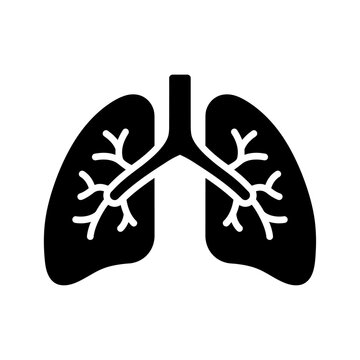 Human lungs icon. Respiratory system bronchial organ vector illustration.