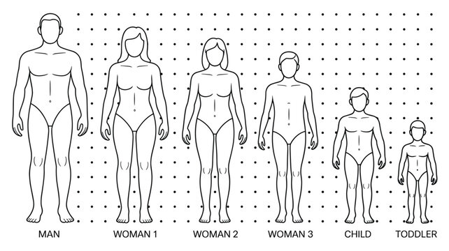 A collection of human body outlines showing different ages and genders, including a man, three women, a child, and a toddler, arranged in a row with a grid background