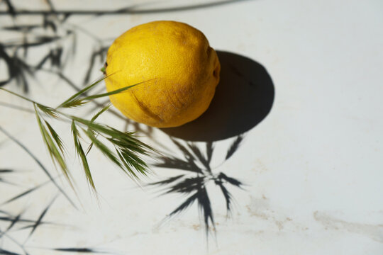 Fresh lemon with garden grass shadow on white background