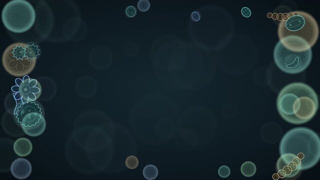 Intricate fungal spores drifting under a digital lens seamless loop