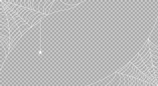 Spider web corner frames with hanging spider on transparent background