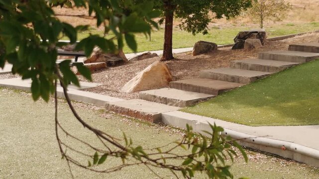 Static view of stone steps through hanging tree leaves and branches in a landscaped park.