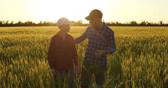 Father and son walking together in golden wheat field at sunset. Dad and child enjoy quality time, sharing moments of laughter and connection. Nature's beauty surrounds them, creating warm atmosphere.