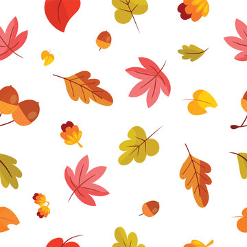 Autumn leaves seamless pattern with maple, oak leaves, and acorns on white background. Thanksgiving fall foliage cartoon illustration for seasonal design.