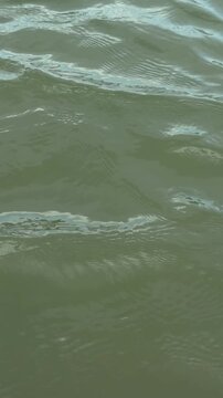 Gentle Ripples Moving Across Green Water in Slow Motion