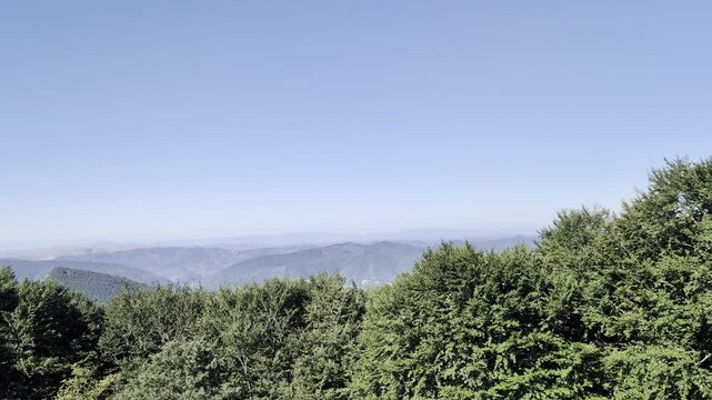 veduta panoramica dall'alto su una vallata di montagna con fitti boschi verdi, colline e rilievi montuosi sullo sfondo