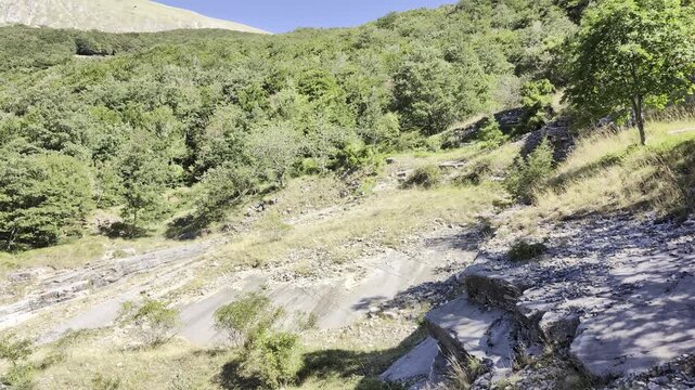 Paesaggio montano incontaminato con bosco rigoglioso e pendii rocciosi sotto un cielo limpido
