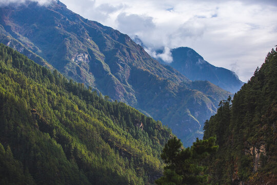 Wooded mountainsides landscape. Himalayas of Nepal