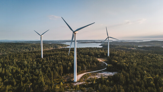 Sustainable wind turbines in a scenic green coastal forest