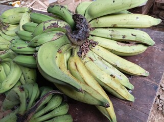 Fresh green bananas in bunches arranged on a rustic wooden table, showing unripe tropical fruit with natural texture and varying stages of ripeness. © Har