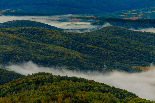 Misty Carpathian mountains at sunrise. Fog drifting through mountain valleys
