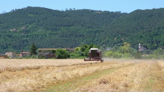 Combine harvester cutting ripe wheat in rural Liguria, Italy, collecting grain during the summer harvest with mountains and countryside in the background. Agriculture concept, agribusiness.