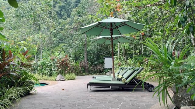 Sun beds with umbrellas in the hotel tropical jungle and the buggy hotel car running on the background