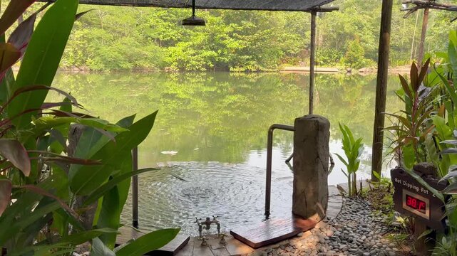 Thermal hot spring pool in the jungle of Perak province in Malaysia
