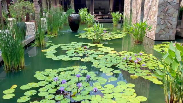 Beautiful luxury resort with a lake and lilly flowers blooming on the water