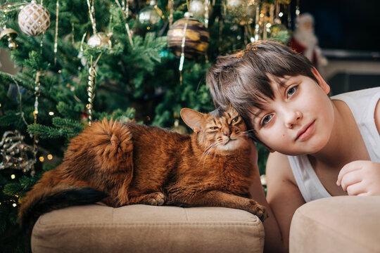Kid boy teanager 12-years old with his pet red fluffy cat nearby decorated christmas tree closeup portrait somali breed cats
on the xmas hollidays at cozy home indoors lifestyle headshot