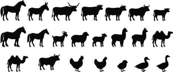 Fototapeta premium A diverse collection of black silhouettes depicting common farm animals such as horses cows sheep goats poultry and various other livestock options