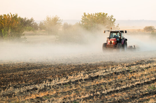 Tractor cultivating agricultural field near ripe corn crop at sunset