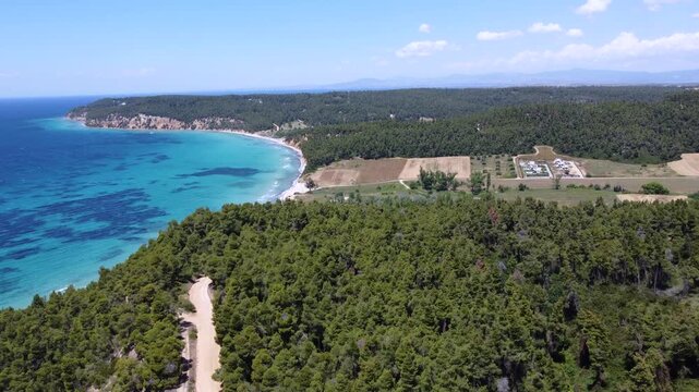 Turquoise Coastal Bay, Dense Pine Forest and Farmland Along a Scenic Shoreline, Aerial View