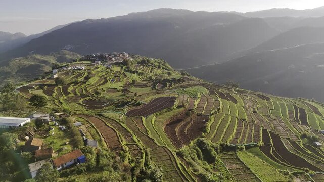 Aerial drone view of terrace garlic farms and stepped agricultural fields glowing in warm sunrise light in Poondi, nestled in the scenic Palani Hills of the Western Ghats, Tamil Nadu, India.