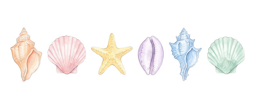 Watercolor Seashells Starfish Collection Set arranged horizontally on black background for summer ocean beach nautical decoration, pastel conch scallop cowrie shell clip art design graphic set
