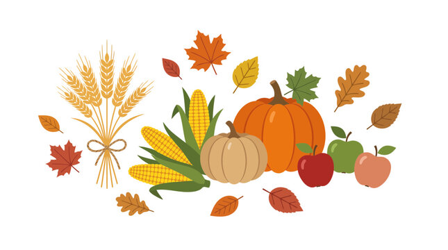 Autumn harvest vector illustration, fall pumpkins and corn icons, seasonal foliage and wheat stalks, thanksgiving holiday design elements