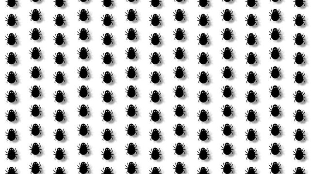 Halloween Background Grid of Crawling Black Bugs and Beetles Pattern Motion Graphics.