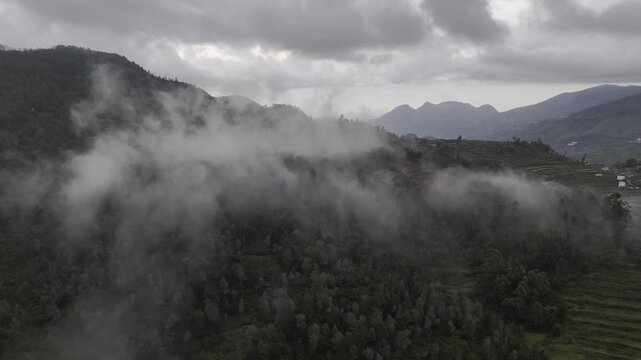 Aerial drone view of terrace garlic farms and stepped agricultural fields in Poondi, Palani Hills, Western Ghats, Tamil Nadu, glowing at sunset beneath clouds over hills, native trees and vegetation.