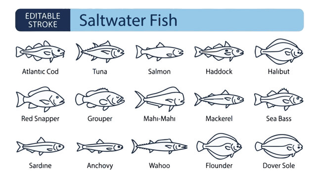 Saltwater Fish Species Line Icon Set Editable Stroke Vector Illustration
