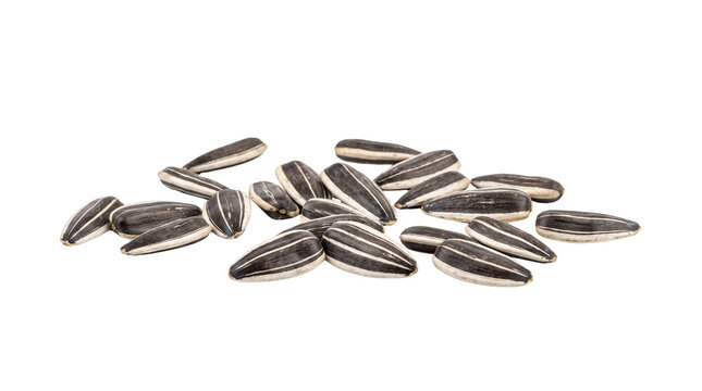 Roasted sunflower seeds with black and white stripes, organic snack seeds for healthy nutrition, pile of natural sunflower seeds isolated PNG with Transparent Background