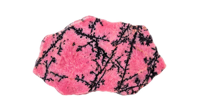 Rhodonite crystal specimen with black dendritic inclusions. Pink manganese silicate mineral stone. Natural raw gemstone for jewelry. isolated PNG with Transparent Background