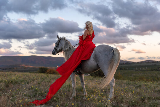 Woman horse dress riding elegant white steed in dramatic sunset field