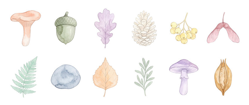 Autumn Forest Botanical Watercolor Elements set featuring mushrooms acorn pinecone oak leaf fern berries isolated on black background for seasonal fall nature design decoration print project.