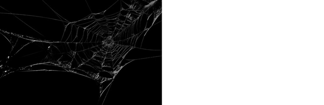 Realistic cobweb PNG with black preview and transparent background version for Halloween graphics, dark editing and spooky decoration.