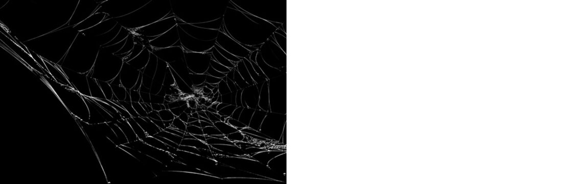 Spider web texture overlay with black preview and transparent version for horror posters, spooky design, photo editing and dark compositions.