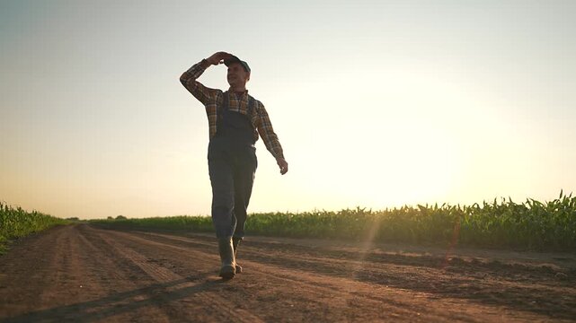 Man in boots walking calmly down country road waving hand by growing corn. Boots touch warm ground near corn rows waving hand greets friendly road travelers. Man smiles waving hand peaceful corn path.