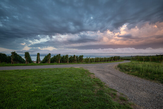 A rare stratocumulus volutus roll cloud forms over lush vineyards along Lake Constance during a dramatic dawn sunrise. Hagnau. Starenturm Lookout.