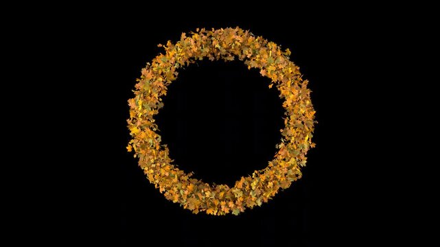 Autumn leaf explosion transition: colorful 3D maple leaves form a circle ring border frame and fly away. 4K video overlay on transparent background (alpha channel) for video editing.