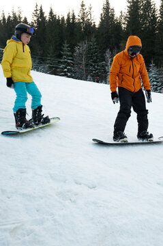 Snowboarders enjoy a sunny day on the slopes at a winter resort surrounded by evergreen trees and a clear blue sky in mid afternoon light