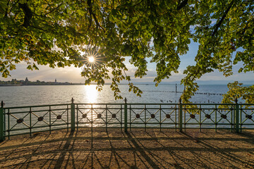 Golden morning sunlight shines through leafy chestnut tree branches along a scenic lakeside promenade at sunrise. © jiriviehmann