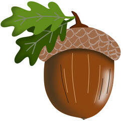 Acorn with Green Leaf © 선미 김