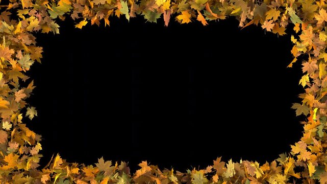 3D autumn maple leaves explosion forming a rectangular frame revealing background. Vibrant red, yellow, orange foliage particle transition in 4K resolution with alpha channel transparency.