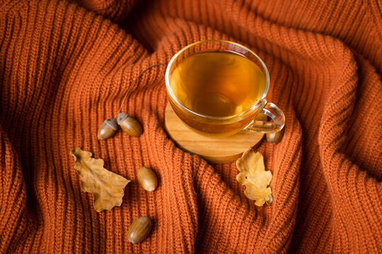 Knitted throw, a cup of green tea, and autumn leaves; studio shot, autumn decor.