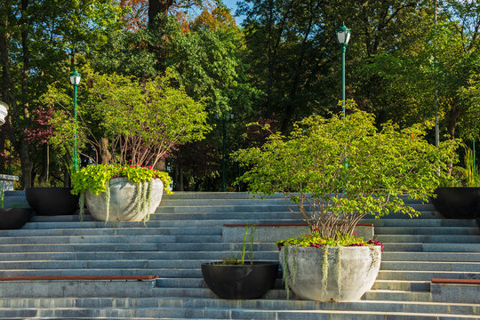 Concrete vases with trees and bushes on stone steps in a park or city garden. Large pots and flower beds are elements of urban landscaping