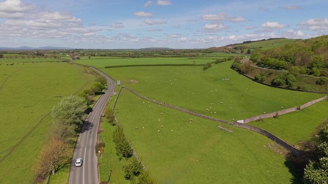 Aerial view of a road and roundabout winding through lush green fields with grazing sheep in the countryside of Cashel, County Tipperary, Ireland.