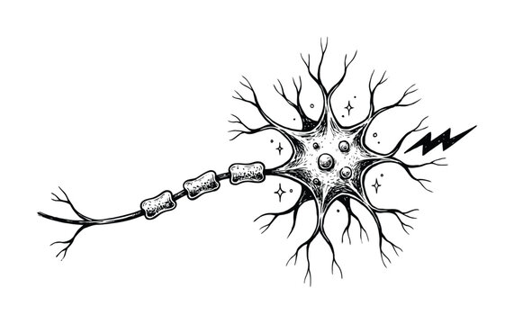 Hand-drawn of a human neuron cell with electrical impulse