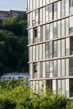 Apartment facade beside greenery shows residential architecture in La Confluence Lyon where windows and trees create a vertical urban edge